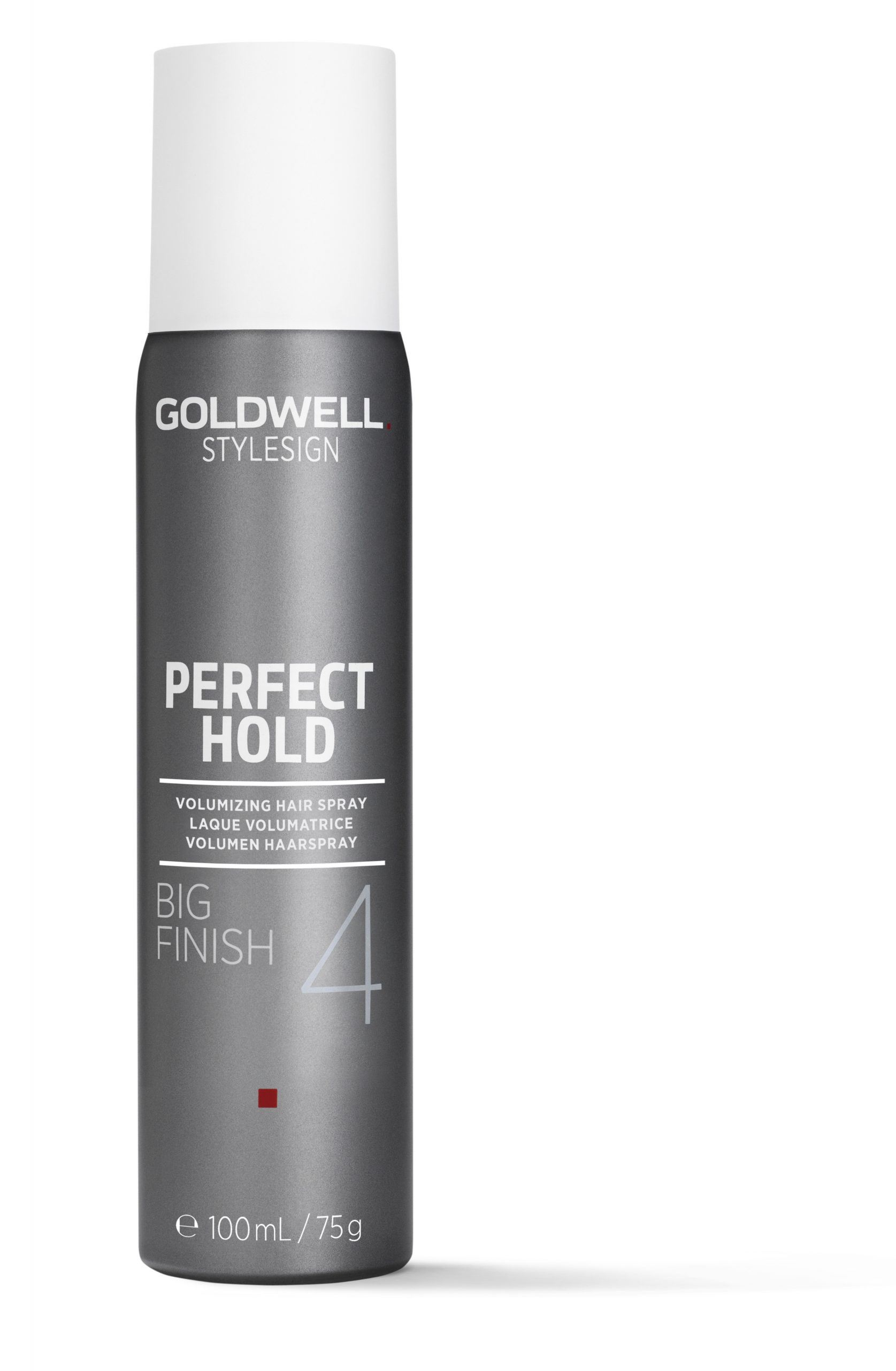 StyleSign Perfect Hold Big Finish volumizing hair spray - Salon 10